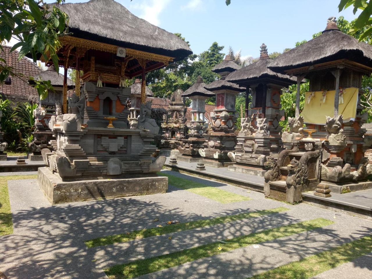 ウブド Suandi House Bed & Breakfast エクステリア 写真